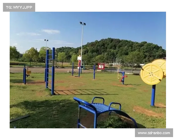 农村体育内容生态繁荣，展现乡土文化与体育融合魅力